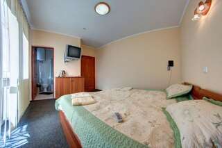 Мини-отель Sofia Forest Club Яремче Стандартный двухместный номер с 1 кроватью или 2 отдельными кроватями-3